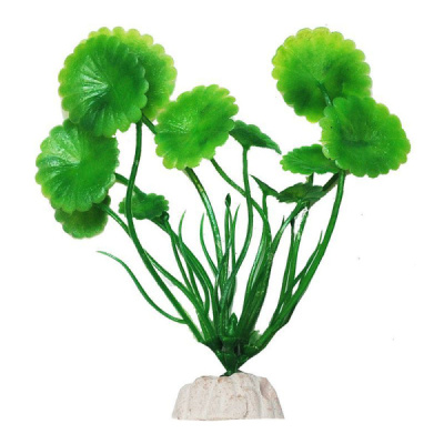 Растение (Уют) ВК100 Щитолистник зеленый 10см