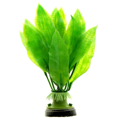 Растение (БД) 20см Эхинодорус