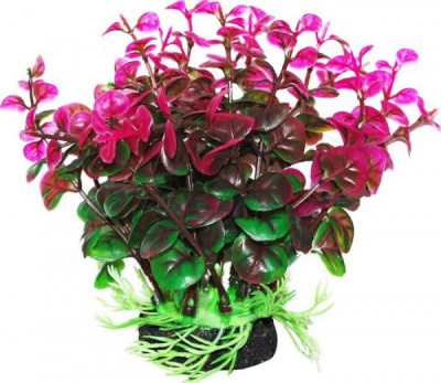 Растение (Уют) ВК309 Бакопа зелено-фиолетовая 12см