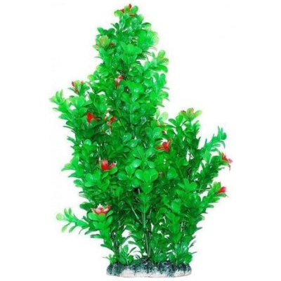 Растение (Уют) ВК602 Бакопа зеленая с красными цветами 44см