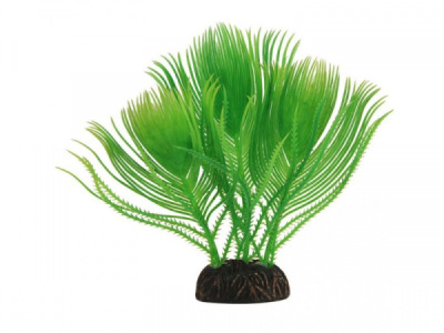 Растение (Laguna) 25см Эгерия зеленая